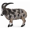 CollectA (Collector) Jacob Sheep Animal Figure 88728
