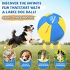 Dog Herding Ball for Australian Shepherd: 25" Dog Training Ball