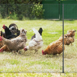 Non Electric Fence Netting 40" x164', Boundary Fence with Double Spiked Posts, Portable Poultry Fence All-Purpose Fencing for Dogs, Chickens, Ducks, Turkeys Suitable in Backyard, Garden, Farm