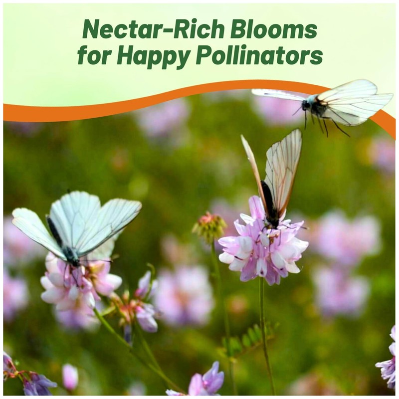 Outsidepride Perennial Crown Vetch Seeds - 2 lb. Drought-Tolerant, Fast-Growing