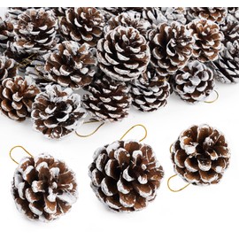 50 Christmas Pine Cones, Natural Pinecones Ornament Snow Pine Cone Decorations With String for Gift DIY Crafts Home Xmas Tree Wreath Dried Garland Holiday Winter Decoration (Assorted Sizes 3 to 6cm)