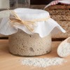 Freshly Fermented – Organic & Vegan Certified Freeze Dried Sourdough