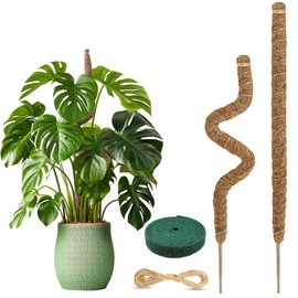 Pack of 2 Monstera Trellis, Plant Stake, Coconut Moss Stick, Flexible Moss Sticks for Plants, Monstera Rod with Accessories, Moss Rod Set for Climbing Plants, Plant Support (70 cm)