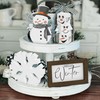 Christmas/Winter Tiered Tray Decor, 6 Pcs Hello Winter Snowflake Snowman