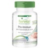 Probiotic Immune Probiotischen Cultures for Healthy Digestion and a smooth