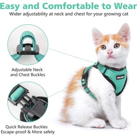 Dooradar Cat Harness and Leash Set, Escape Proof Safe Adjustable Kitten Vest Harnesses for Walking, Easy Control Soft Breathable Mesh Jacket with Reflective Strips for Cats, Green, XXS