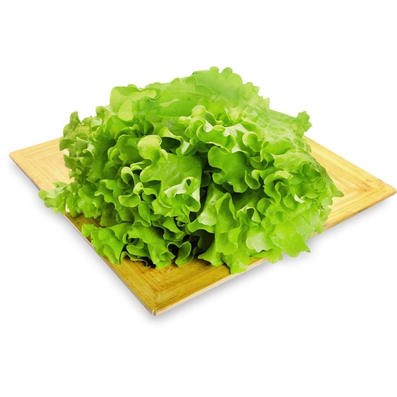 Curly Leaf Lettuce 1000+ Seeds for Planting Non-GMO