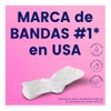 Bioré Bandas de Limpieza Profunda Combo, 14 Piezas