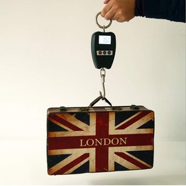 Hanging Weight Scale Industrial Heavy Duty for Farm, Hunting, Bow Draw Weight, Big Fish & Hoyer Lift with Accurate Sensor Digital, Professional (440LBS Black)