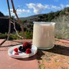 XILMARK Yoghurt Lids Compatible with La Fermière, Yogurt Lids 67