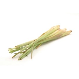 Fresh Lemongrass, 3 Pack of 1 lb Bags, Chef-Quality, Aromatic Herb for Culinary Use