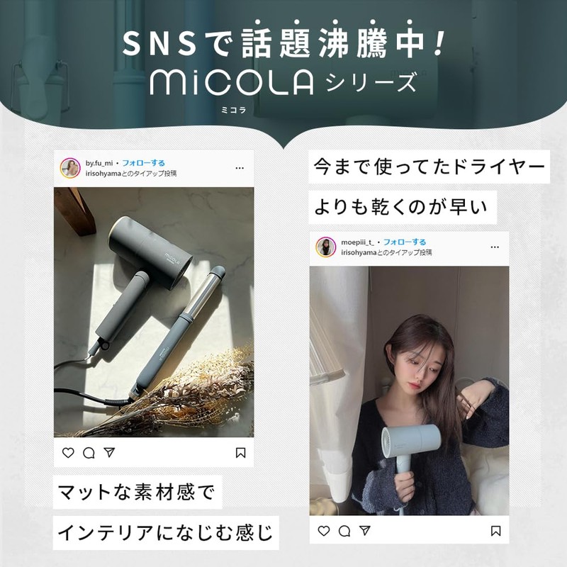 Iris Ohyama HDR-M102-D Ion Dryer, Large Airflow, Quick Drying, Lightweight,