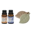 Set of 2 Brain Activity Blend Essential Oil Day Night
