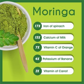 bixa BOTANICAL Moringa Leaf Powder | Drum Stick Shigru |16Oz 1 Pound, Pack of 1 | Multi Vitamin Superfood Supplement Rich Iron Calcium Anti Oxidant | Joint Pain Immune Booster