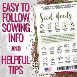 Seed Needs Radish Seeds for Planting Purple Plum Radishes - Non-GMO Heirloom & Untreated - Grow a Home Grown Vegetable Garden - Cool Weather Crops (5 Packs)
