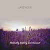 Friendly Soap Handmade Natural Lavender Soap - Relaxing, Indulgent, Exfoliating