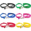 Doggie Style Store Small Dog Puppy Pet Collar and Lead