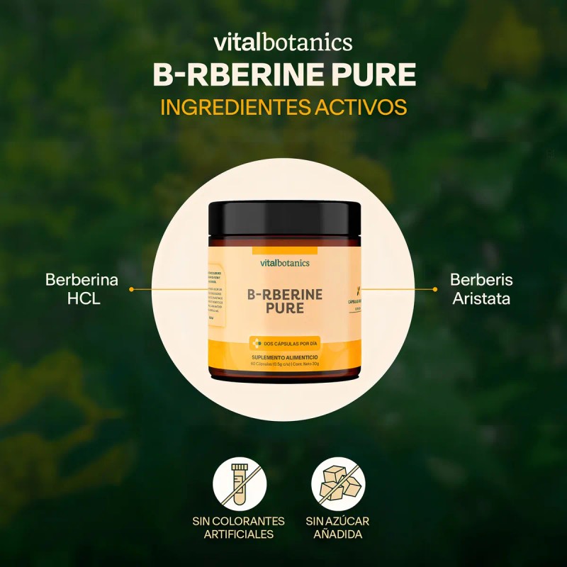 Berberina HCL 1000mg | 60 Cápsulas | Apoyo Metabólico, Control