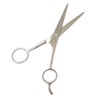 In Pouch Hair Cutting Scissors