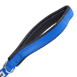 GoGo Pet Products 3/4-Inch Wide Comfy Nylon Dog Leash, 4-Feet Long, Blue