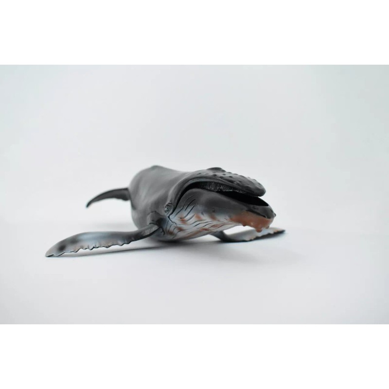 Deshen Du Humpback Whale, Hand Painted, Realistic Toy Figure, Model,