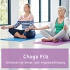 Natur Total 120 Capsules Chaga Mushroom Vital Mushroom (Inonotus Obliquus)