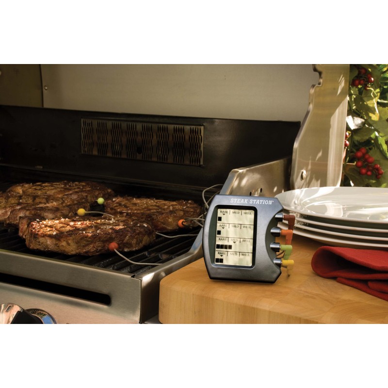 Charcoal Companion Steak-Thermometer, mehrfarbig, 5,08 x 15,49 x 20,19 cm