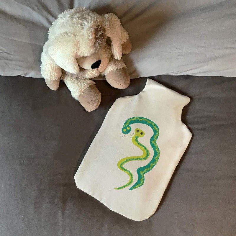 'Two Friendly Snakes' Hot Water Bottle Cover (HW00039231)