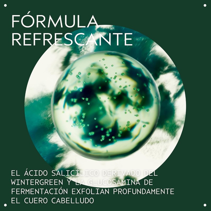 Aveda Scalp Solutions Tratamiento Capilar Exfoliante Limpiador