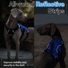 rabbitgoo Escape-Proof Dog Harness Medium with Large Handle, Adjustable No