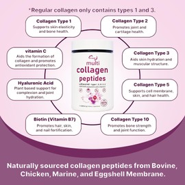 JUNHAO-SHOP Multi Collagen Peptides Powder 16oz - Type I, II, III, V, X - Hydrolyzed Collagen Peptides with Biotin Vitamin C Hyaluronic Acid, Non-GMO, Upgraded Formula, Add 45% More Collagens Protein