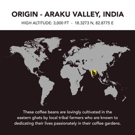 Boomi Premium Single Origin Instant Coffee Powder | Medium Roast, 100% Arabica, Mold & Mycotoxin Free | 7oz Tin (1 Pack)