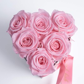 Rosemarie Schulz Heidelberg, Angel without Wings is called Mama, 3 preserved roses box, heart, Mother's Day flowers, gift.