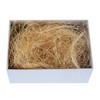 Sansam 0.55 LB Cream Fine Strands of Sisal Fiber for