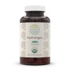 HerbEra Hydrangea USDA Organic 120 Capsules | Natural Herbal Supplement