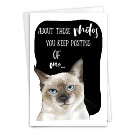 NobleWorks, Funny Birthday Greeting Card with 5 x 7 Inch Envelope (1 Card) Bday Cat Antics - Photos C3638GBDG