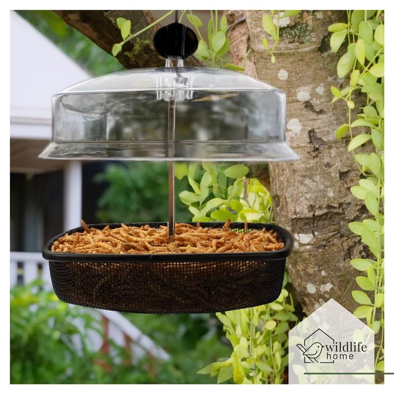 WILDLIFE HOME Mealworm Feeder - Bird Feeder with Rain Cover