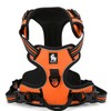 WINHYEPET True Love Dog Harness, No-Pull Reflective Pet Harness with