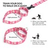 haoyueer Martingale Collar for Dogs, Adjustable Soft Nylon Dog Collars