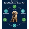 Durable Dog Chew Toy - Puppy Chew Toys - Indestructible