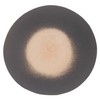 Marui Pottery MR-3-4192 Shigaraki Ware Hephamon, Bowl, Plate, Diameter Approx.