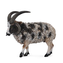 CollectA Jacob Sheep