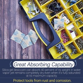 LotFancy Desickant Silicagel Desiccant 3g × 100 Pieces Safe Moisture Absorber for Storage Odour Neutral