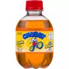 Chubby Soda 8.4 oz (250ml) 6 Pack (Banana)