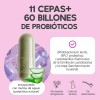 Probioticos 11 Cepas De 60 Billones Megabiotic 60 Capsulas