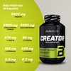 BioTechUSA CreaTor | With 2 Types of Creatine | Amino
