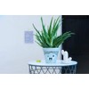 edding 750 gloss paint marker - green - 1 paint