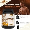 Aminoacidos Bcaas Klokan 1kg 200 Servicios Varios Sabores