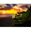 Zinka Protector Solar Con Color, Con Zinc, A Prueba De