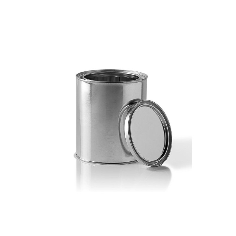 Empty Quart Paint Cans with Lids (2 Pack) Empty Metal